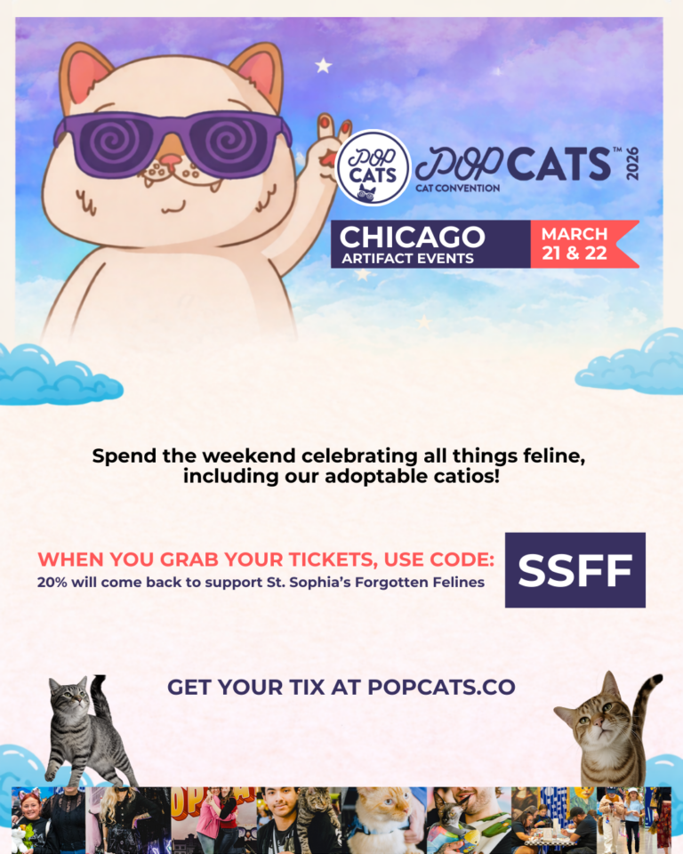 https://popcats.co/cat-convention-pop-cats/chicago2026/