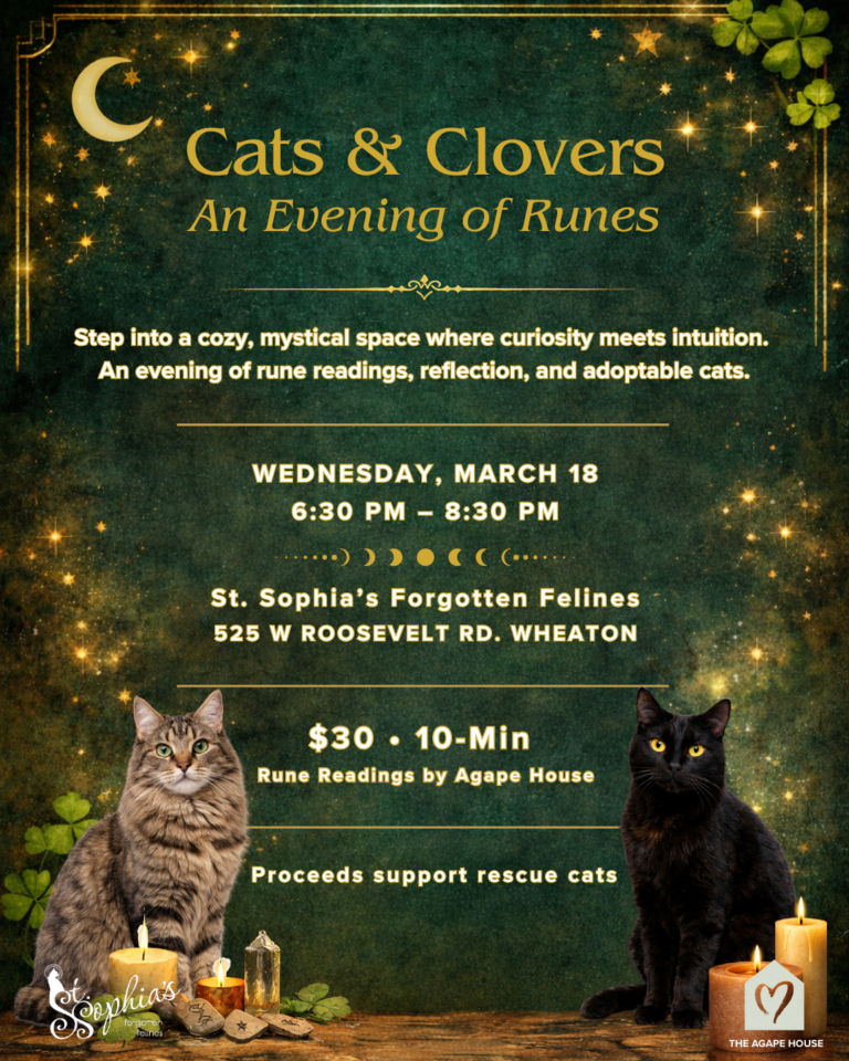 Cat & Clovers- Wednesday, March 18th- 6:30 - 8:30 PM