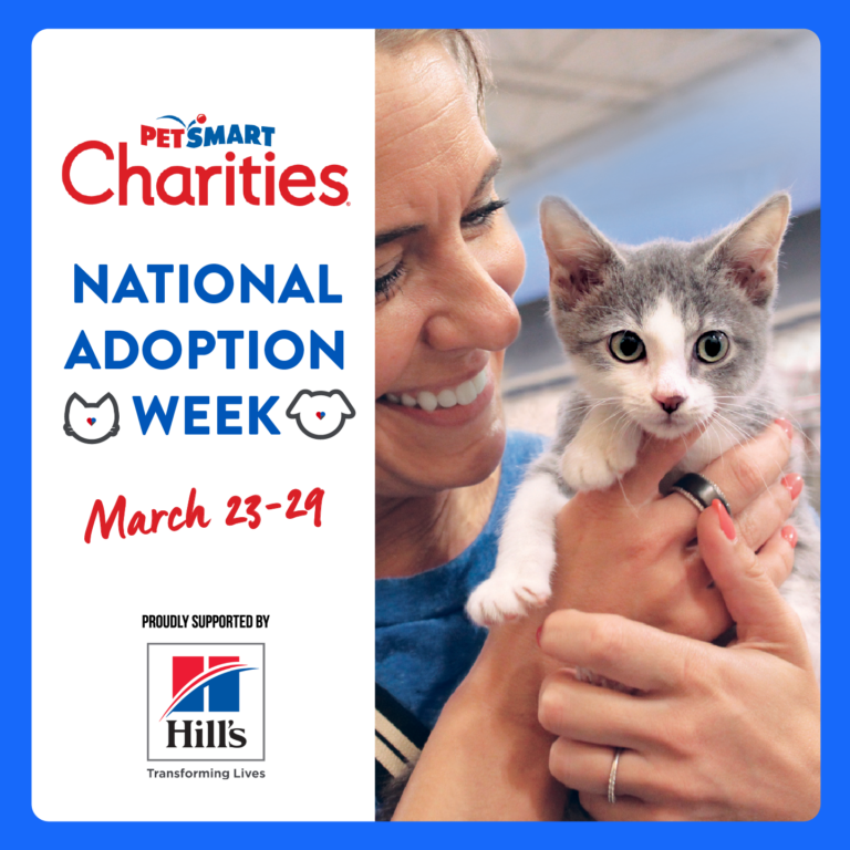 National Adoption Week! We will be at PetSmart Archer Heights on Saturday the 28th and PetSmart Burbank on Sunday the 29th!