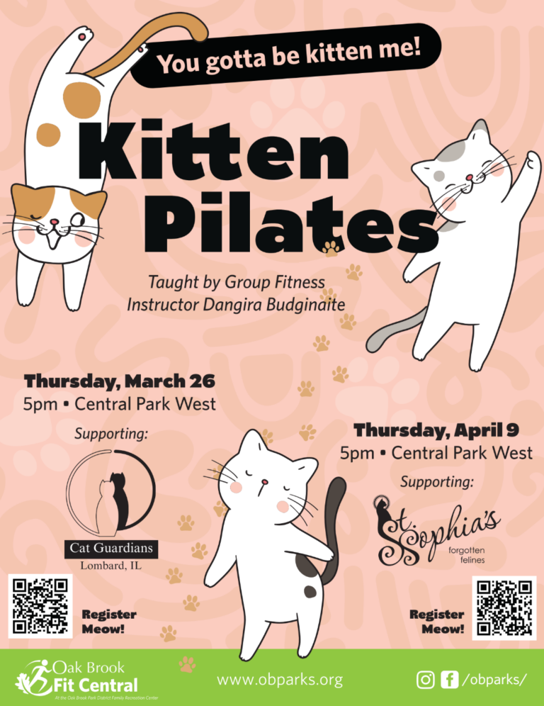 Join us Thursday at Kitten Pilates!
