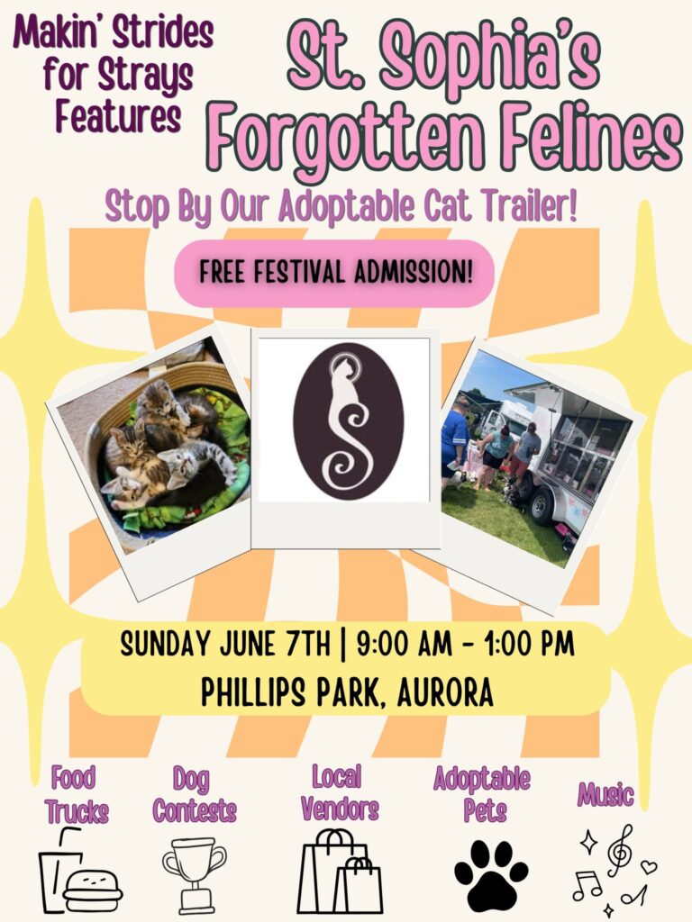 Phillips Park, Aurora on Sunday, June 7th