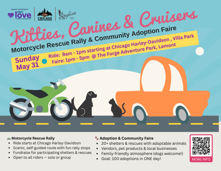 Get Ready for Kitties, Canines, and Cruisers on May 31st!