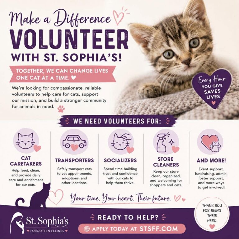 We can use your help!