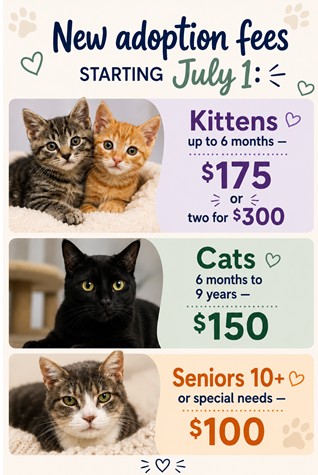 Price Changes Coming in July